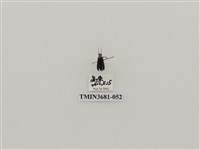 藏品(鞘翅目(1))的圖片